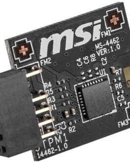 MSI TPM 2.0 SPI (12-1)
