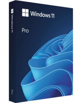 Microsoft Windows 11 Professional DSP