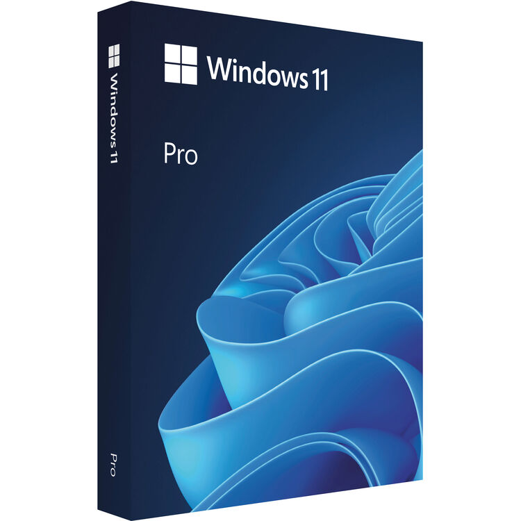 Microsoft Windows 11 Professional DSP